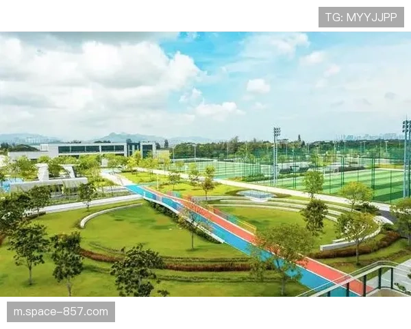 体育平台与城市服务对接,增强公共服务功能